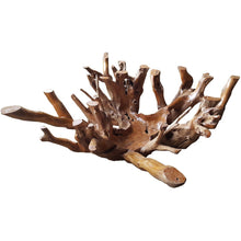 Teak Wood Root Coffee Table Including 55 inch Square Glass Top
