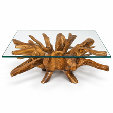Teak Wood Root Coffee Table Including 55 inch Square Glass Top