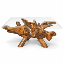 Teak Wood Root Coffee Table Including 55 inch Square Glass Top