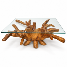 Teak Wood Root Coffee Table Including 55 inch Square Glass Top