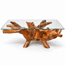 Teak Wood Root Rectangular Coffee Table with 55" x 43" Glass Top