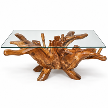 Teak Wood Root Rectangular Coffee Table with 55" x 43" Glass Top